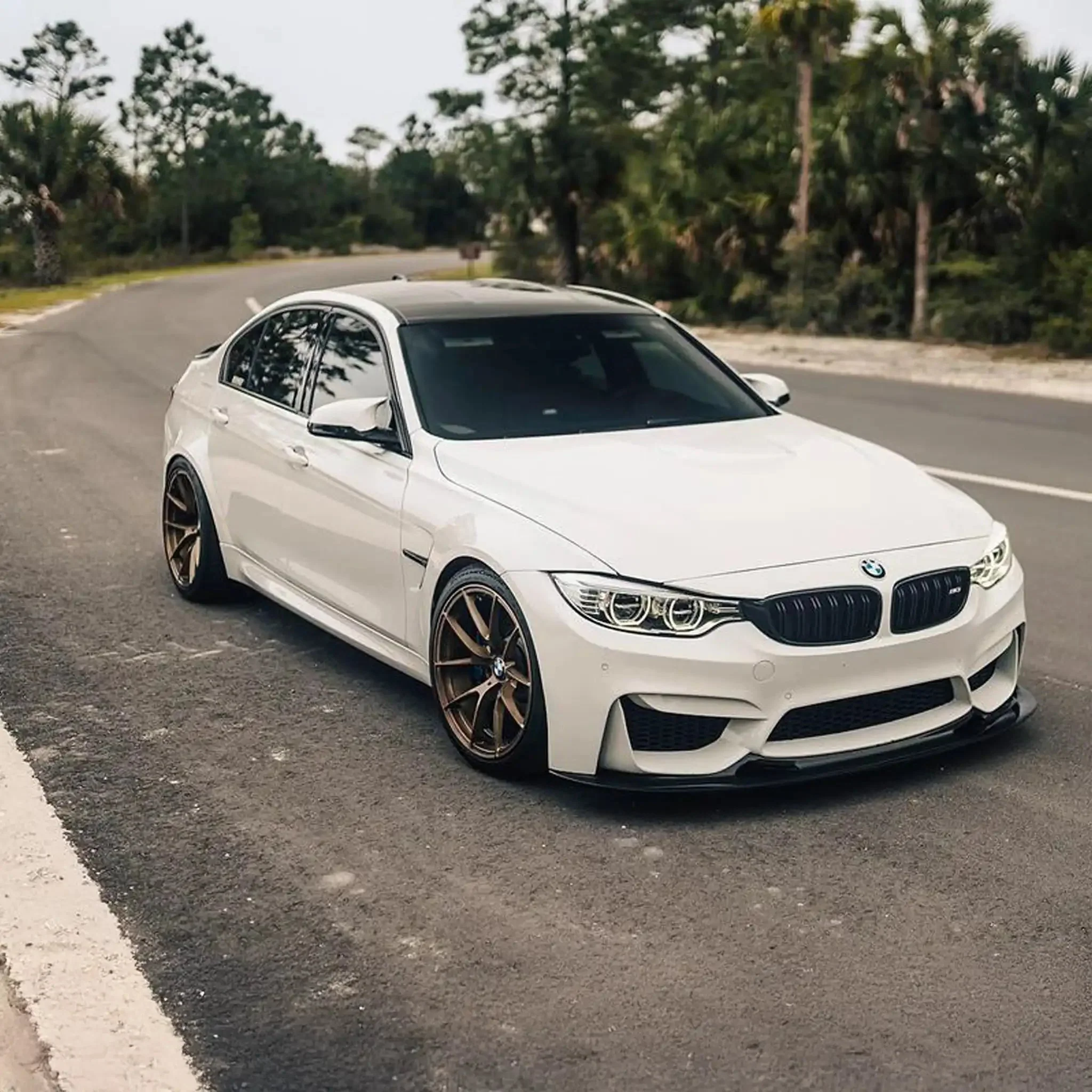 Ridgeline Motorsport F8X M3 M4 GT4 V1 (Short Version) Front Splitter - Image 4